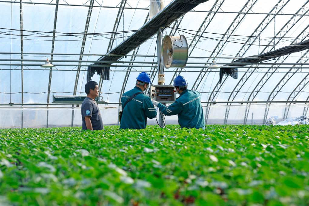 安博体育网站：山东潍坊：“智慧农业”点亮特色产业富民路(图2)