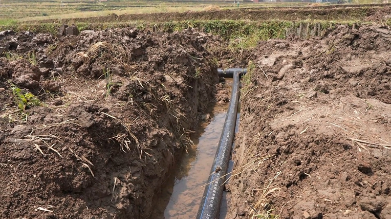 盘州市新民镇：钵盘育秧提质增效智慧农业赋能梯田春耕(图2)