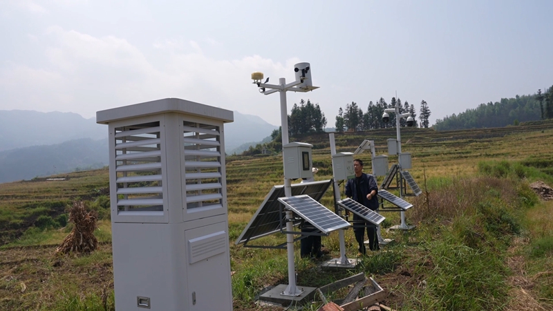 盘州市新民镇：钵盘育秧提质增效智慧农业赋能梯田春耕(图3)