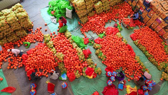 经济大省调研行在这里钢厂开始造卫星一粒种子能撬动一个产业链……(图4)