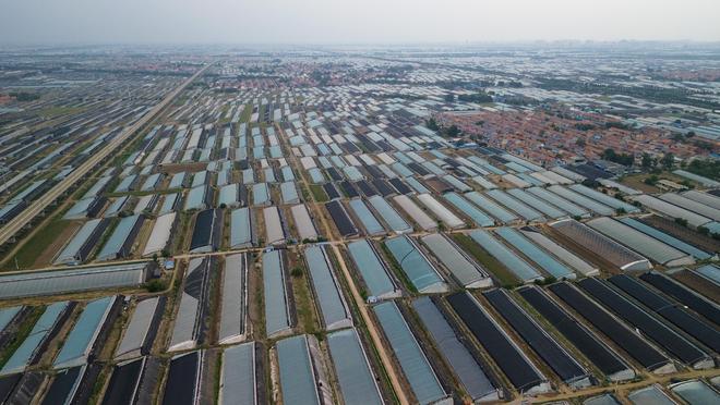 经济大省调研行在这里钢厂开始造卫星一粒种子能撬动一个产业链……(图5)