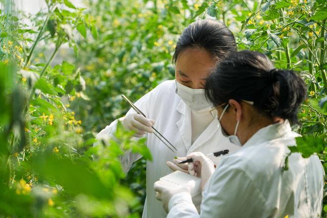 经济大省调研行在这里钢厂开始造卫星一粒种子能撬动一个产业链……(图7)