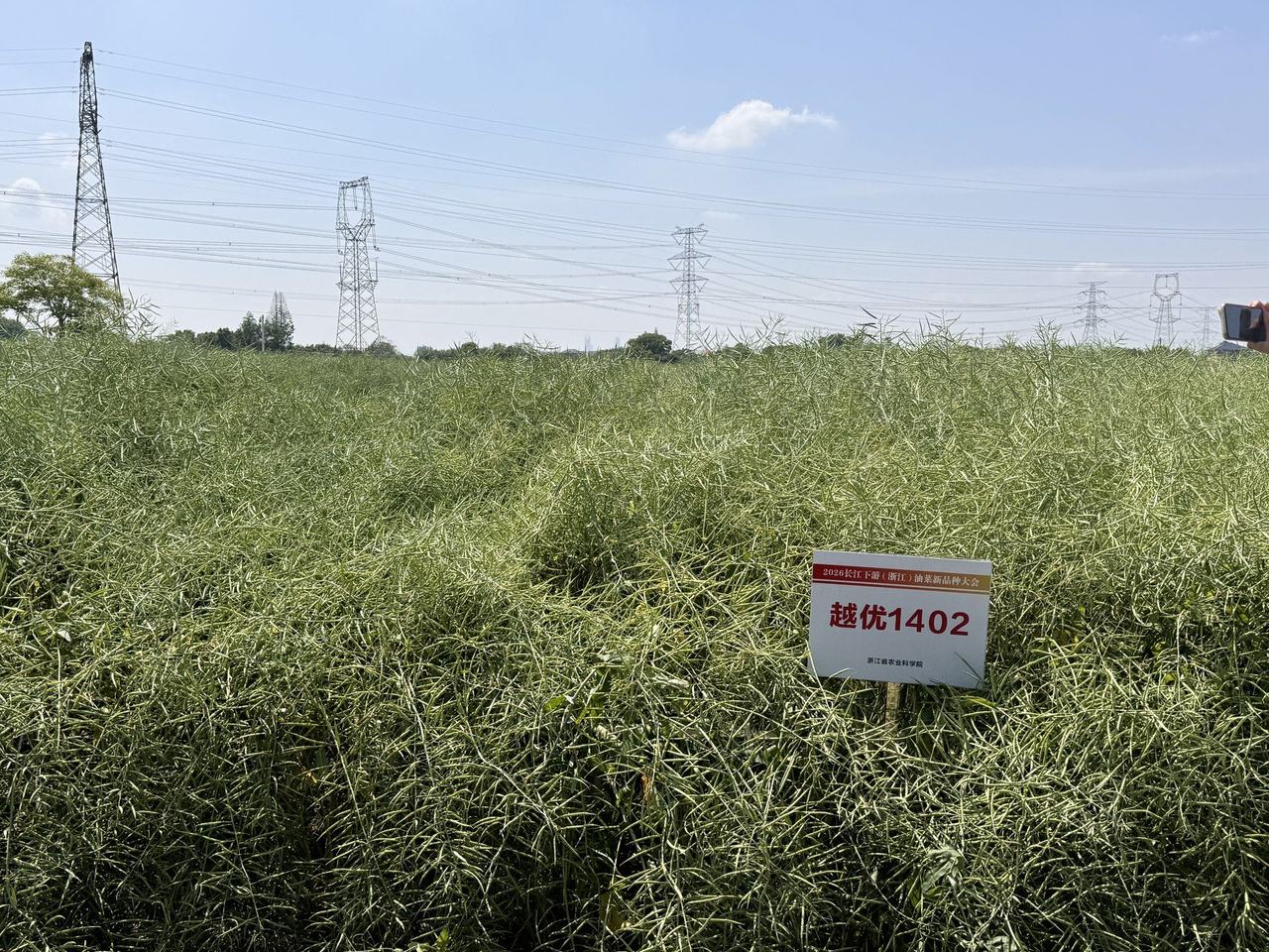 安博体育平台：智慧农机助阵看浙江油菜田里的“新花样”(图1)