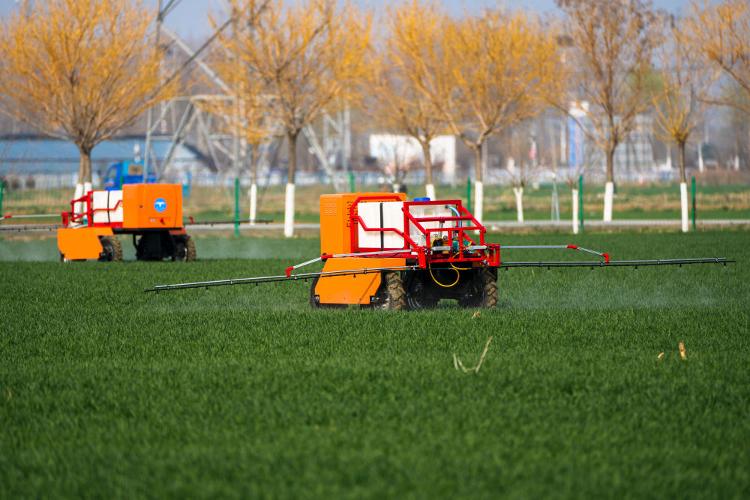 安博体育网站：数智赋能：山东加快智慧农业发展(图1)