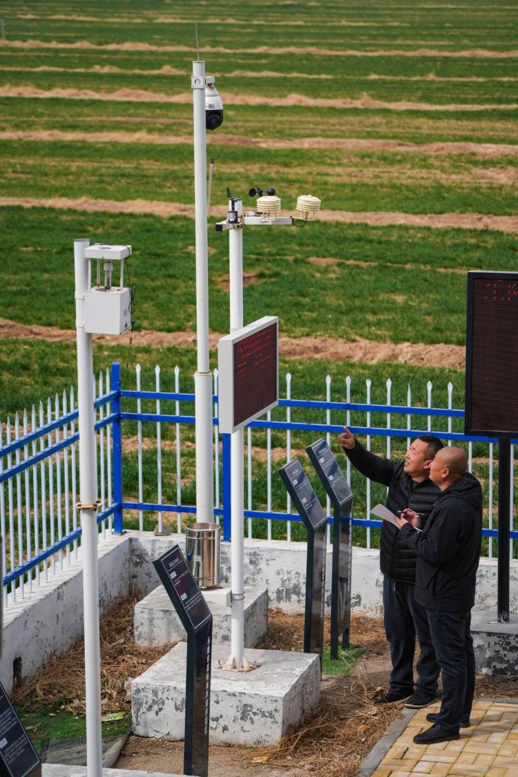 安博体育网站：数智赋能：山东加快智慧农业发展(图2)