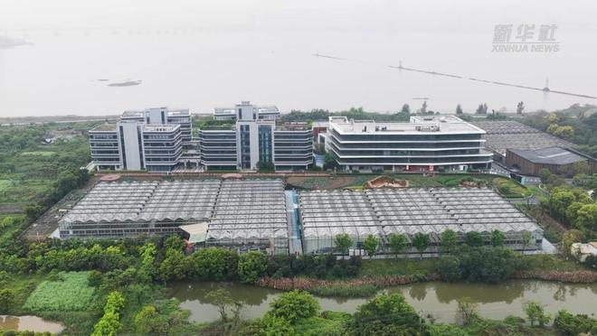 浙江温州：电力护航智慧农业助力春耕跑出“加速度”(图1)