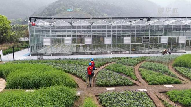 浙江温州：电力护航智慧农业助力春耕跑出“加速度”(图2)