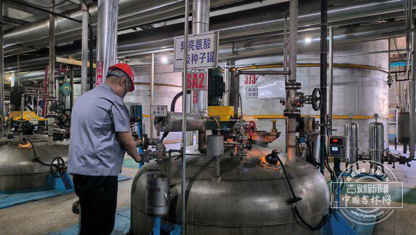 国企改革进行时丨破茧重生向新而行——大成集团改革脱困书写吉林农产品深加工振兴新篇章(图5)