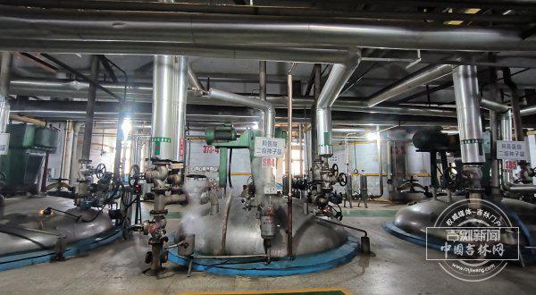 国企改革进行时丨破茧重生向新而行——大成集团改革脱困书写吉林农产品深加工振兴新篇章(图4)