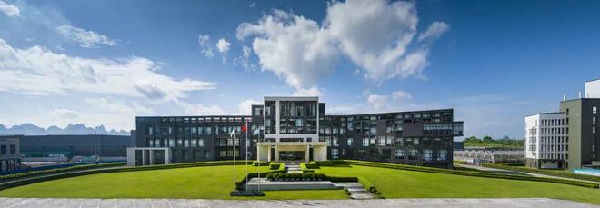 遇见莱茵寻见(图1)