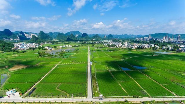 从“网红”到“长红”“五个一”助力柳州螺蛳粉产业高质量发展(图1)