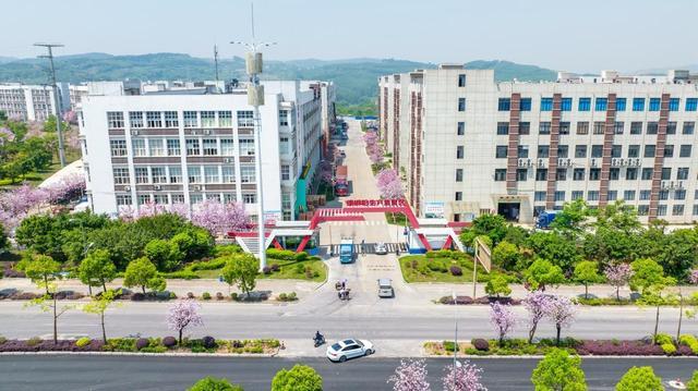 从“网红”到“长红”“五个一”助力柳州螺蛳粉产业高质量发展(图4)